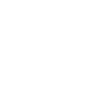 SchnellNode